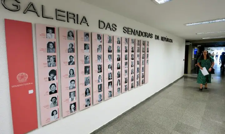 Doze mulheres são eleitas para o Senado Federal