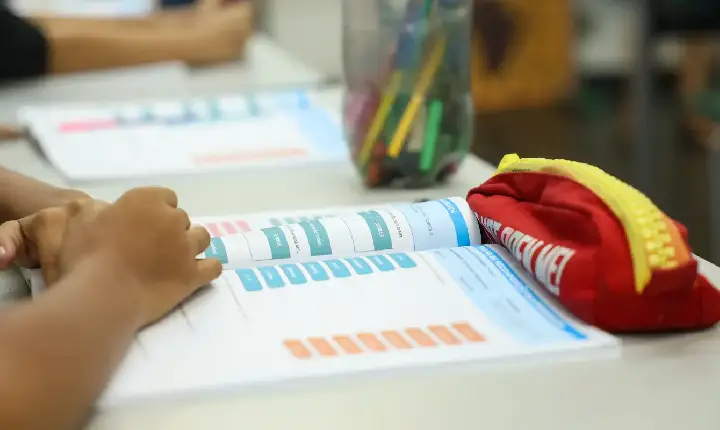 Educação política passa a integrar currículo escolar brasileiro