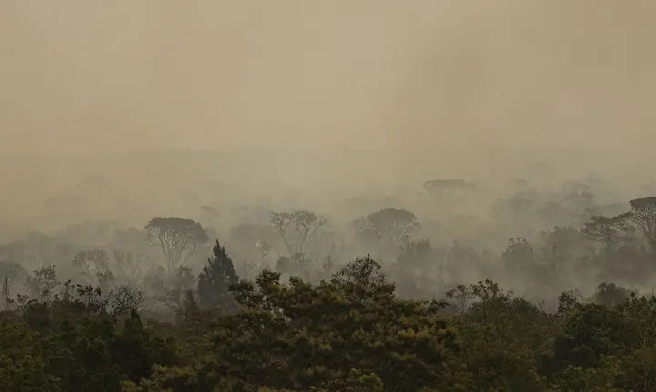 Força Nacional do SUS apoia atendimentos no Amazonas após incêndios