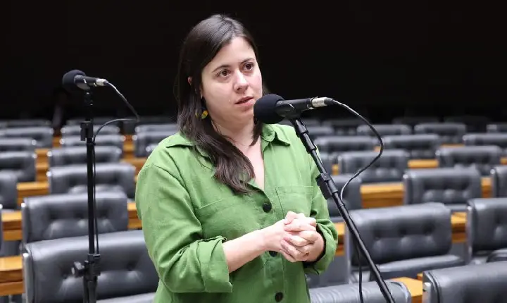 Projeto proíbe acesso a armas de fogo para quem responde por medida protetiva de urgência