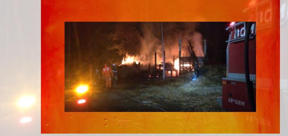 Incêndio atinge madeireira em Teixeira de Freitas