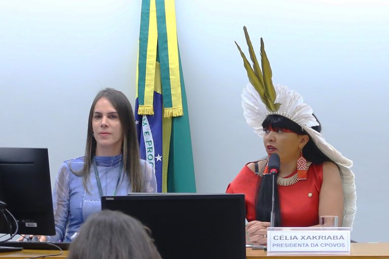 Comissões debatem consulta a povos tradicionais para obras de grande impacto ambiental em Minas Gerais