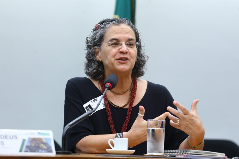 Ambientalistas apontam urgência na restauração da Mata Atlântica