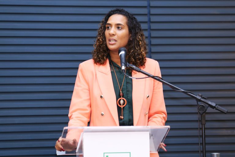 Comissão ouve ministra da Igualdade Racial sobre prioridades da pasta