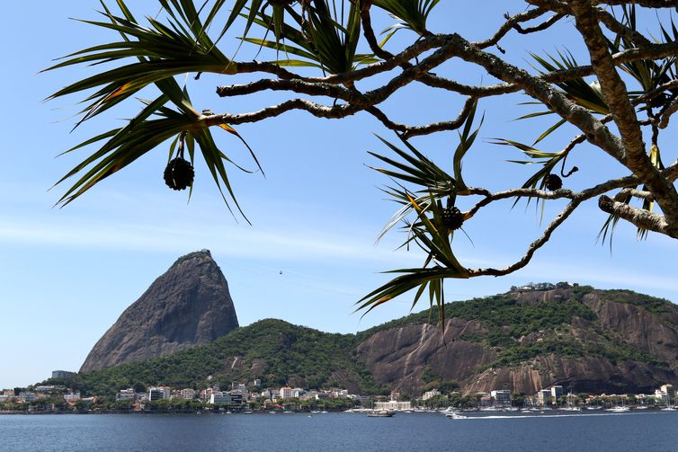 Rio de Janeiro: Justiça paralisa obras da tirolesa do Pão de Açúcar 