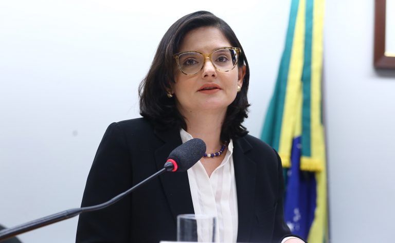 Diante de impactos comerciais, Brasil pode recorrer à OMC contra lei europeia sobre desmatamento