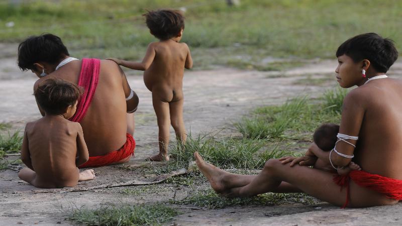Forças Armadas levarão 15 mil cestas de alimentos aos Yanomami
