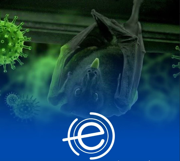 Novo Coronavírus Encontrado em Morcegos na China e no Brasil