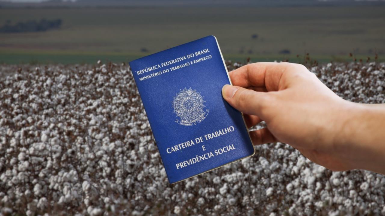 Empregos no agro baiano batem recorde histórico pelo segundo mês seguido