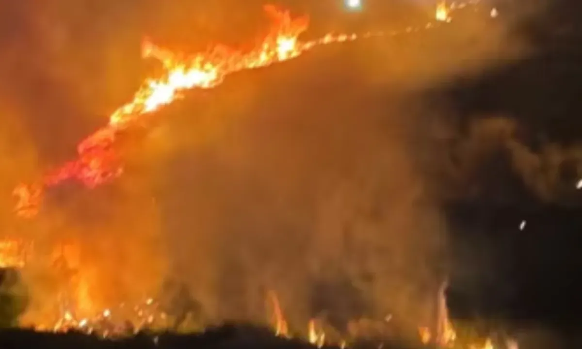 Fogos usados em chá revelação provocam incêndio em rancho turístico na Bahia